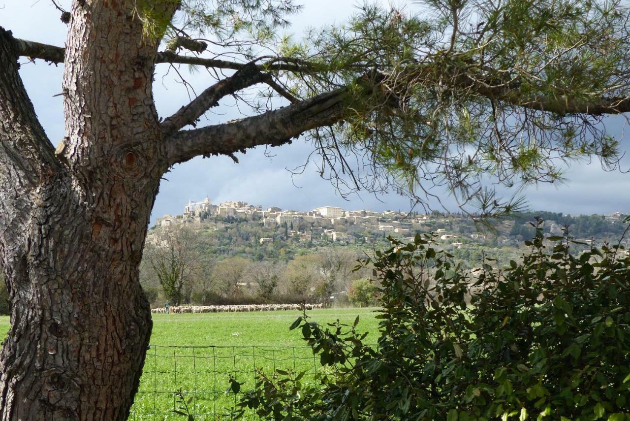 Villa La petite Galéjade Gordes Exterior foto
